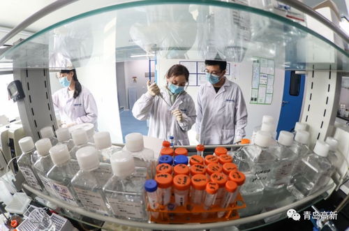 青岛企业创新突破 三款新冠检测试剂通过巴西权威认证